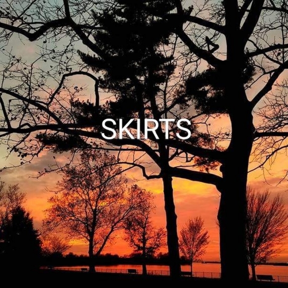 Skirts - Picture 1 of 1